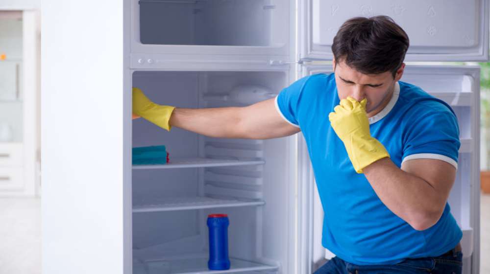 بوی بد در دستگاه شما ناشی از بالا رفتن دمای یخچال است