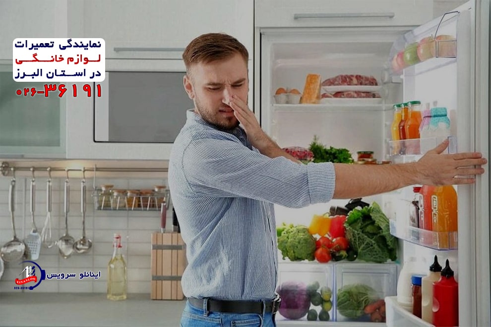 دلایل بوی بد یخچال فریزر دوو